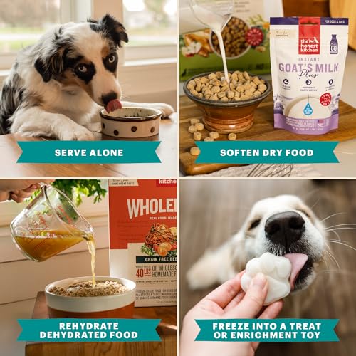 Image of The Honest Kitchen Human Grade Daily Boosts Instant Beef Bone Broth with Turmeric for Dogs 6.5 Ounces