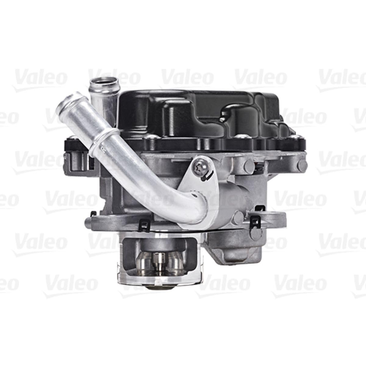 Valeo Válvula EGR 700454