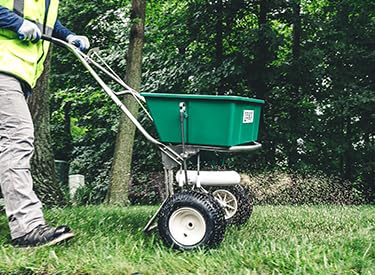 Lesco All-Pro Transition Tall Fescue Grass Seed Blend (50 lbs) – Drought-Tolerant, Heat & Shade Resistant, Insect-Resistant Lawn Seed for Durable Turf