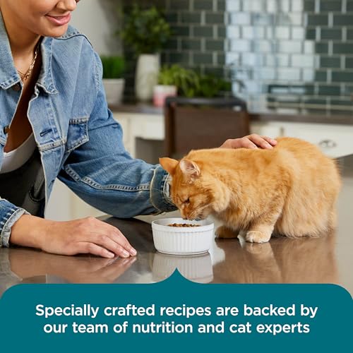 Nutrish Dry Cat Food, Salmon & Brown Rice Recipe, 5 lb. Bag (Rachael Ray) - image 6