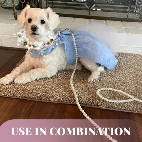 Hunde Hochzeits Blumenhalsband, Hunde Hochzeitshalsband Blumenhalsband Hund Hochzeit Weibliches Welpenhalsband mit Blumenaccessoire mit Hundeleine für Mittelgroße Hunde Haustiere Foto-Requisite