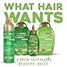 OGX Extra Strength Refreshing Scalp + Tea Tree Mint Shampoo, 13 Ounce