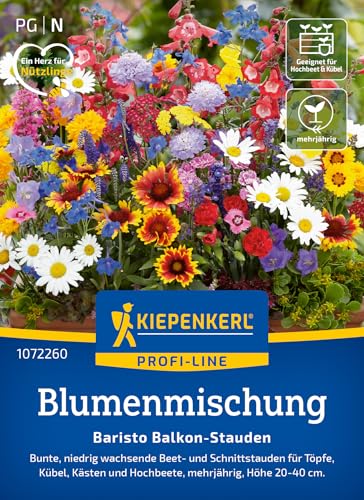 Kiepenkerl Blumenmischung Baristo Balkon-Stauden 1072260 - bunt - niedrig wachsend - Beet- und Schnittstauden - mehrjährig - Saatgut, Blumensamen, Pflanzen