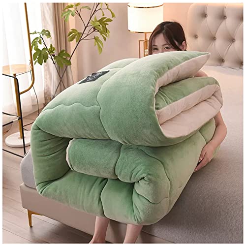 ZTGL Nórdico Edredón De Plumón Invierno, Borreguito + Terciopelo Grueso Y Denso, Núcleo Acolchado Cachemira Caliente, Súper Suave Lana De Lana Manta Color Sólido,D,150x200cm(3.5kg)