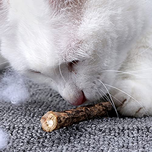 Onebarleycorn Katzenminze Sticks für Katzen, Matatabi Stick Katze Sticks Spielzeug Matabi katzensticks Katzenspielzeug für Zahnpflege,20 Stück
