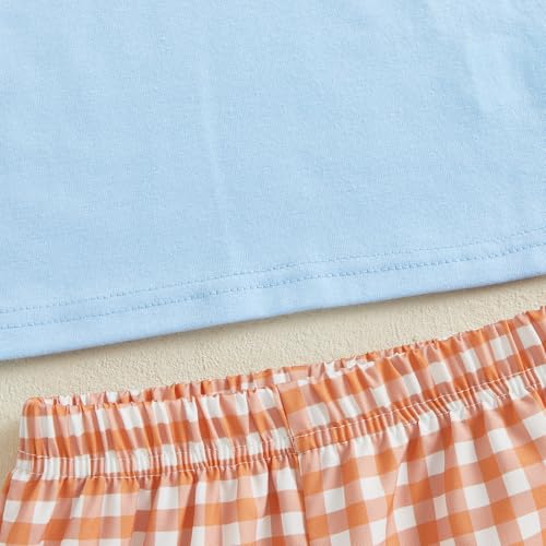 Image of Toddler Baby Boy Easter Rabbit Outfit Short Sleeve Bunny Carrot Smocked T-shirt Elastic Waist Shorts Summer Clothes