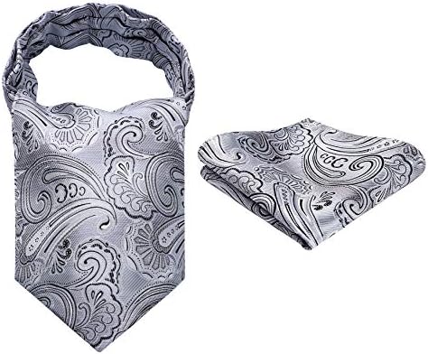 HISDERN Cravat for Men Paisley Floral Cravats Handkerchief Jacquard Wedding Ascot Tie & Pocket Square Set