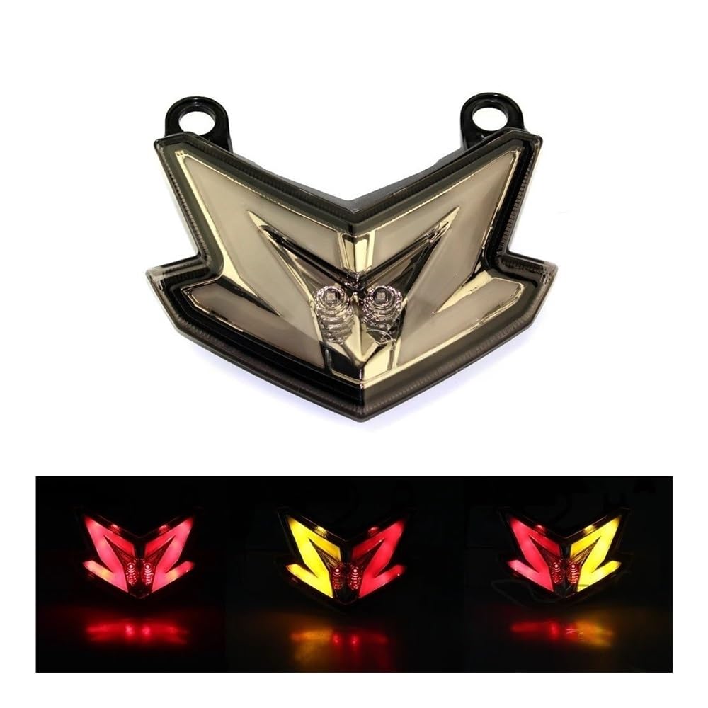 intermitentes led Para Motocicleta, Luz Trasera De Freno