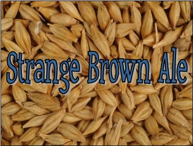 Strange Brew Advanced All Grain Home Brew Beer Ingredient Kit: Brown Ale