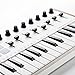 Worlde 25 Key USB Portable Tuna Mini MIDI Keyboard MIDI Controller with 8 Knobs, 8 Drum Pads, 8 Faders, Wood Imitation Rim, Pedal Interface, for Mac and PC