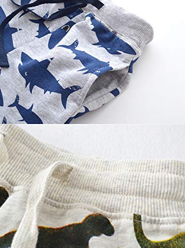 Image of HUAER& Baby Boy's Jogger Pants Dinosaur Car Animal Print Drawstring Elastic Sweatpants (1-Pack 2-Pack)