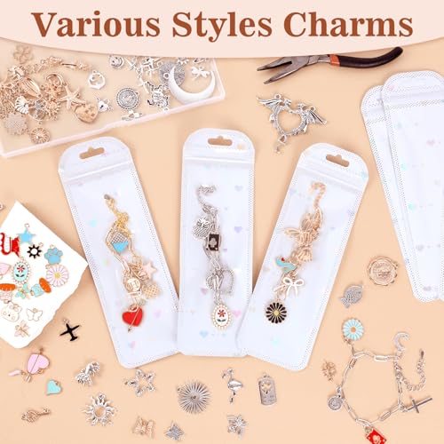 Image of Himake 653Pcs Gold Silver Charm Bracelet Making Kit, DIY Jewelry Making Supplies, Including Paperclip Chain Bracelets, Jump Rings, Charms, Gift Bags, Pliers, Box for Jewelry Making(Gold & Silver)