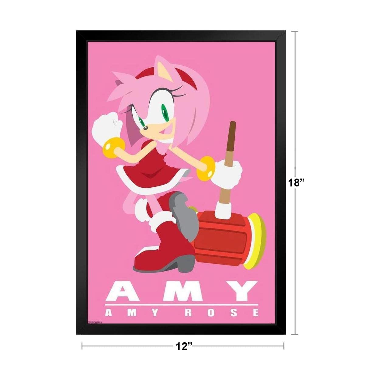 ポスター amy Pyramid America Sonic The Hedgehog Amy Rose Video Gaming Poster