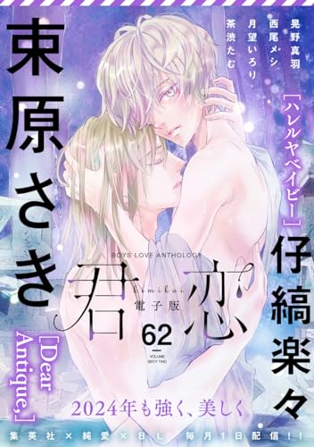 君恋 62 (集英社君恋コミックスDIGITAL)