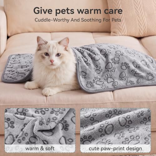Image of Sieidihit Dog Cat Playpen Tent Crate Cage with Blanket, Small Grey | Rest Zone for Recovering Pets New Pet Quarantine Room Portable Pop Up Easy to Set up lightweight dog Kennel with Carrying Bag