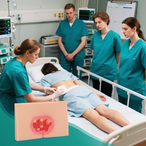 Image of Decubitus Ulcer Wound Care Model, Bedsores Model