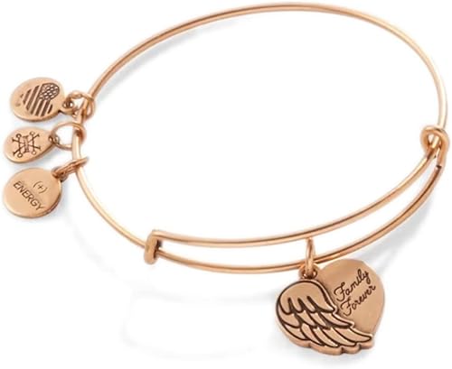 Alex and Ani Family Forever' Angel Wing Heart Charm Bangle