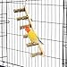 鳥 止まり木 6連 天然木 鳥スタンド インコ おもちゃ はしご 爪研ぎ 噛むおもちゃ インコ 鳥 遊び場 バードアスレチック 階段 ストレス解消 バランス練習 小鳥 文鳥 オウム セキセイインコ パーチ ケージアクセサリー 鳥用品