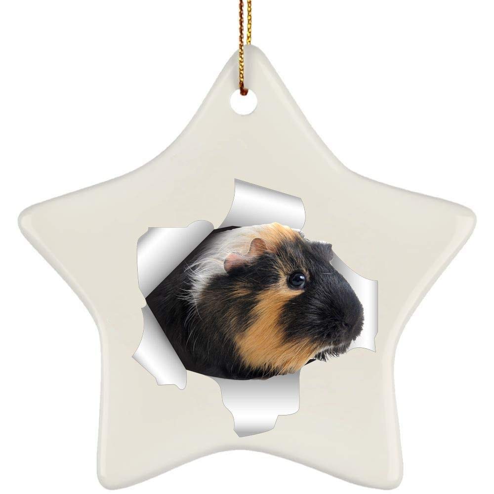 351 Black/Orange Christmas Tree Decoration With Ribbon Xmas Ornaments Ceramic Christmas Baubles Funny Guinea Pig Coming Out Of Cracked Wall