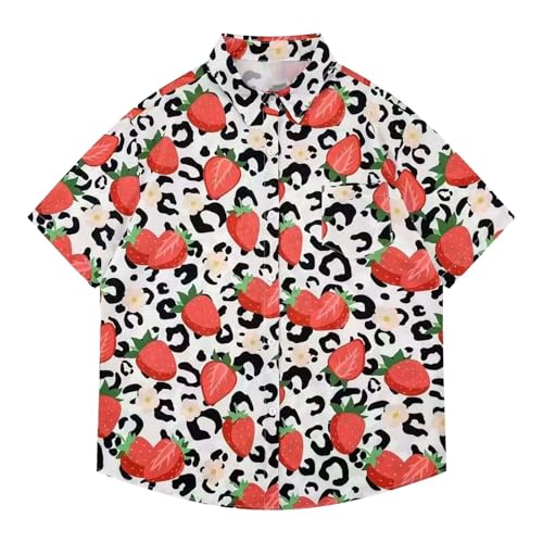 [veolaimy] AnVc Y  ĕ r[`Vc  ʋC  {^_EVc y  u₩ Jbg\[  JWA ĕ a 傫TCY gbvX t@bV lC s čՂ ][g o(B