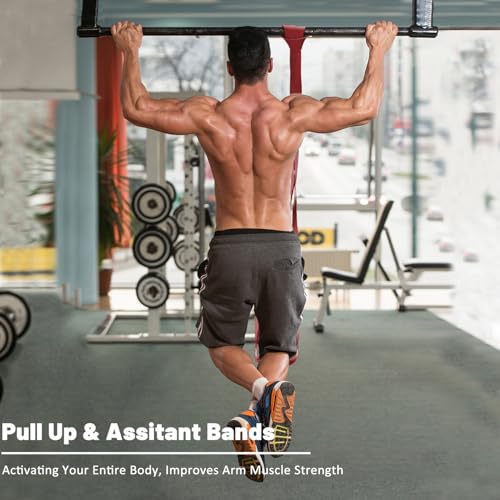 Image of Resistance Bands, Pull Up Assist Bands - Workout Bands, Eexercise Bands, Long Resistance Bands Set for Working Out, Fitness, Training, Physical Therapy for Men Women