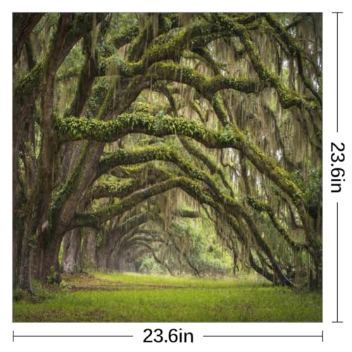 QsirBC Forest Oaks Tree Avenue Square Silk Scarf, Summer Head Scarf, Hair Scarf for Women Soft Smoothness for Travel Yoga Handkerchief Shawl Sunscreen Gift 23.6× 23.6 Inches2