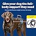 PetSafe CareLift Support Harness - Lifting Aid for Senior or Injured Dogs - Breathable Mesh - Machine Washable - Post-Surgery Dog Support - Large