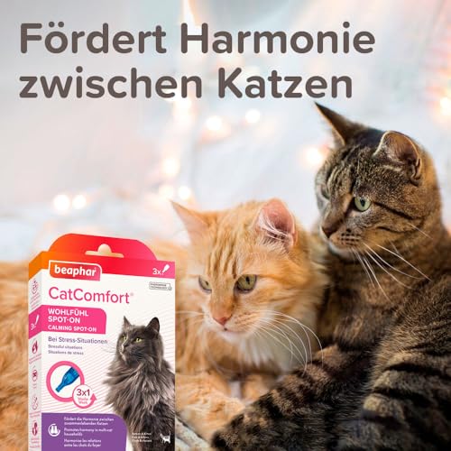 Beaphar CatComfort® Wohlfühl Spot-On, 3 x 0,55ml