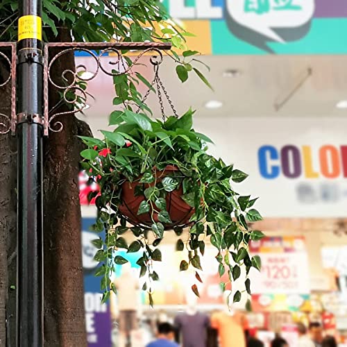 Tim Tim Agro 24 inch Long Hanging Chains for Plants Flower Pot Basket Chains 3 Point Replacement Chain Hangers for Lanterns, Bird Feeders, Planters and Other Ornaments (Pack of 3)
