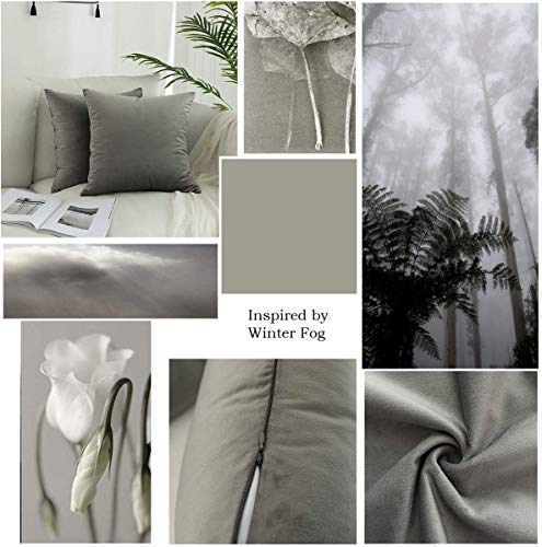 Image of Modern Homes (Pack of 2) Velvet Cushion Covers Plain Sofa Cushion Covers Pillow Covers for Living Room and Bedroom (16x16 inches, Dark Grey)
