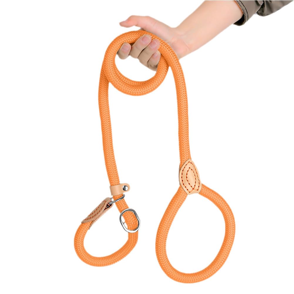 Awpland Slip Lead Dog Leash, Durable Nylon Dog Training Leashes for Large, Medium & Small Dogs