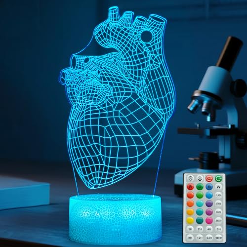 Heart Anatomy Illusion Lamp