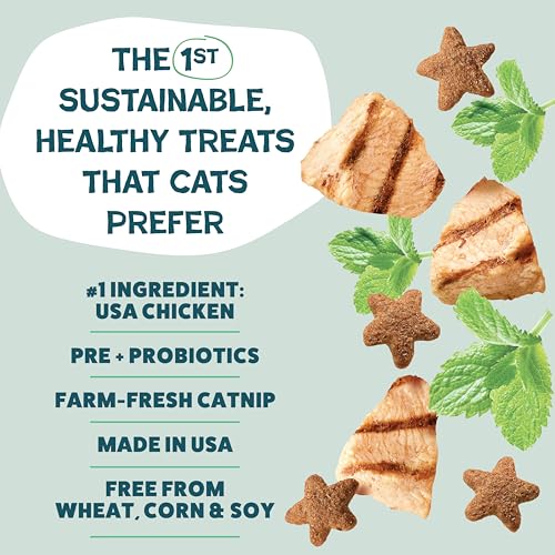 Shameless Pets Crunchy Cat Treats - Catnip Treats for Cats with Digestive Support, Natural Ingredients Kitten Treats with Real Chicken, Healthy Flavored Feline Snacks - Catnip N Chill, 3-Pk - Image 4