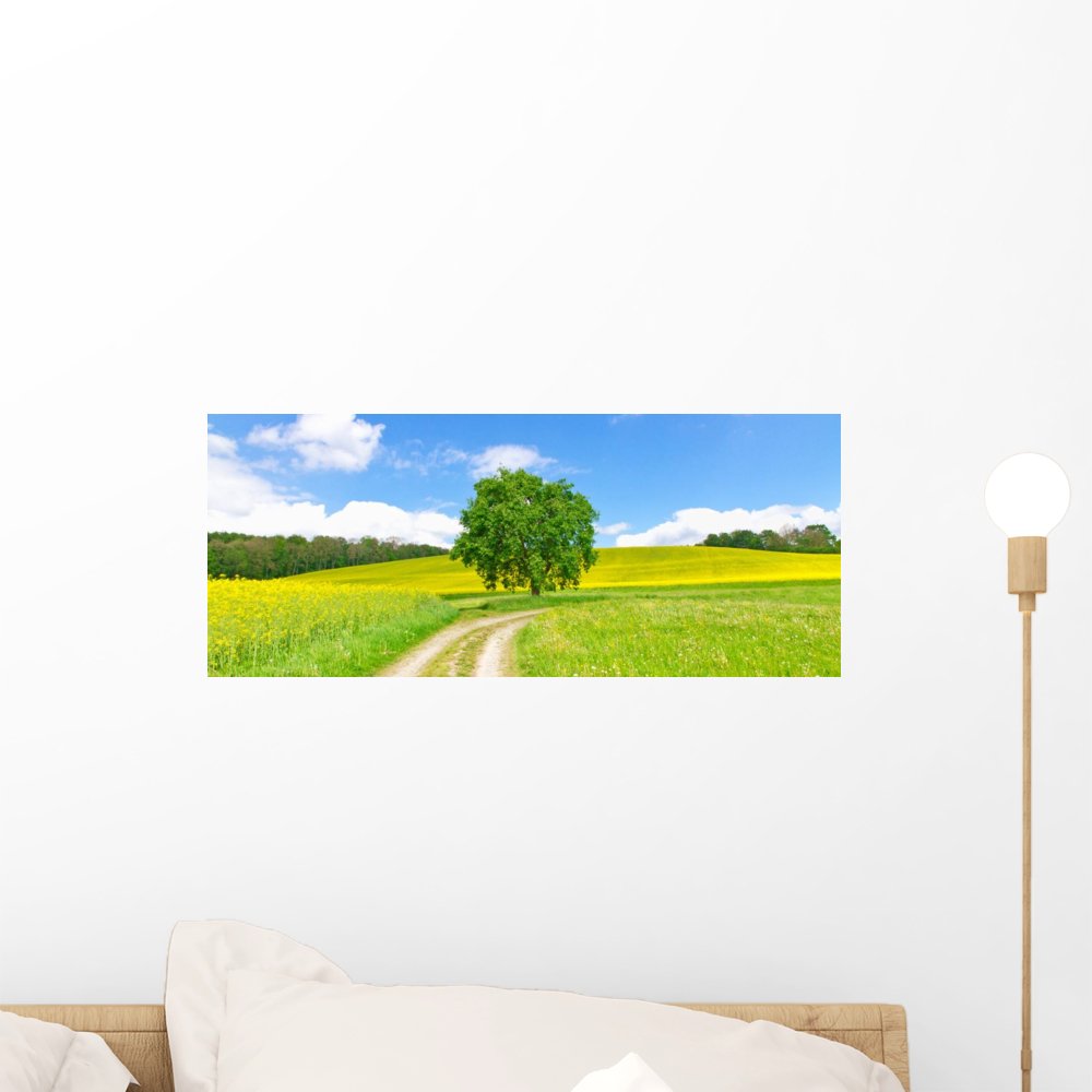 Feldweg im Fr Hling Wall Mural Wallmonkeys Peel and Stick Graphic (18 in W x 7 in H) WM362433