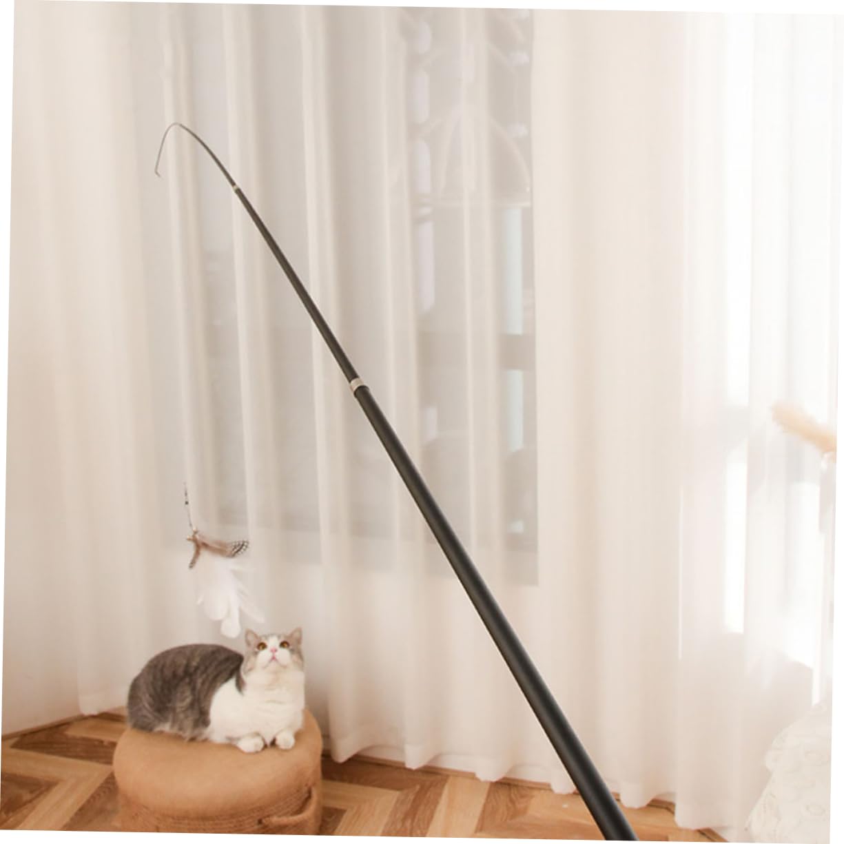 DOITOOL 8piezas Varita Interactiva para Gatos De Coloridas Juguete Telescópico para Estimulación y Diversión De Mascotas