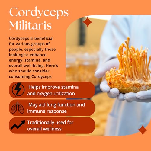 Image of Cordyceps Militaris Dried Cordyceps Mushroom (30gm) | Premium Cordyceps Fungus for Energy, Endurance & Immunity | Herbal Supplement | Pack of 1