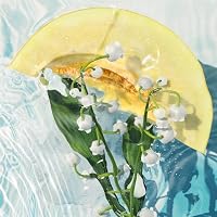 Davidoff Cool Water Shower Gel – Floral Perfume for Women – With Notes of Melon, Lily of the Valley & Musk – Long-Lasting Fragrance — image 2