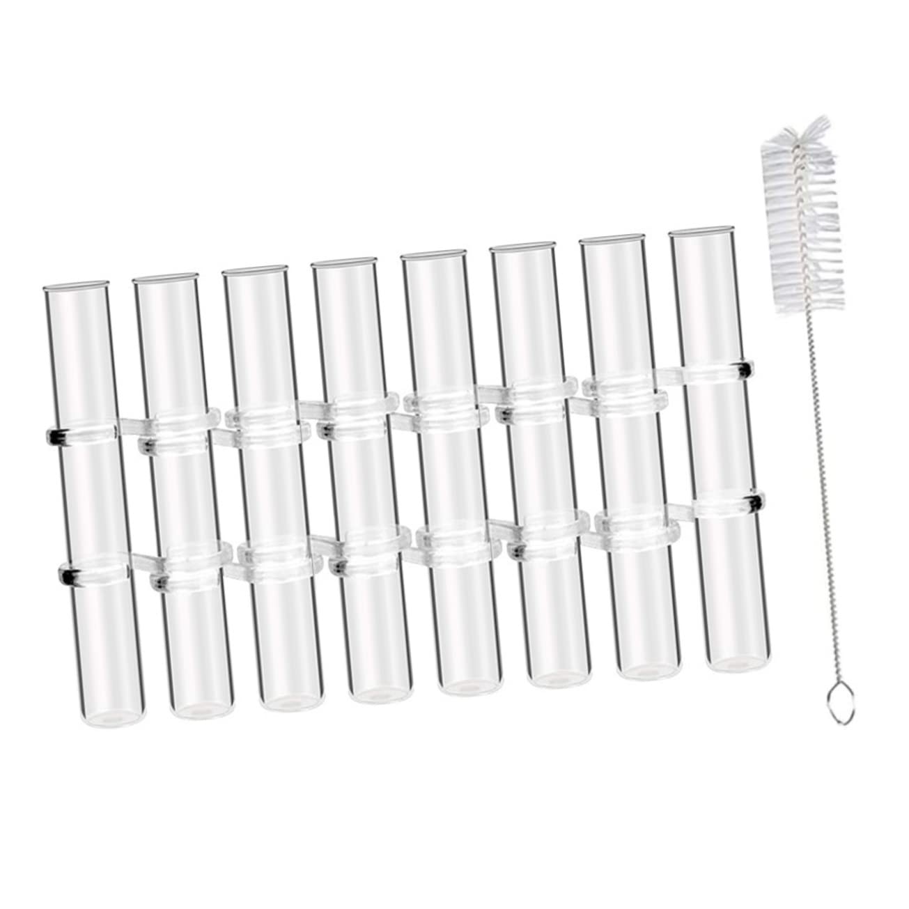 ABOOFAN Vase Hydroponique Verre Transparent avec Support Tubes De Propagation pour Plantes Petits Vases Décoratifs pour Intérieur Et Bureau