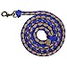Triple E Braided Nylon Lead Royal/Tan