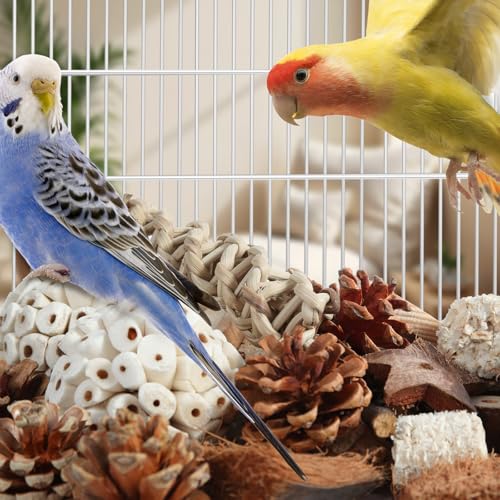Image of Kyouki Bird Toys Parrot Natural Bird Foraging Box Foot Toys for Parakeets,Cockatiels,Conures,Love Birds,and Other Small to Medium Birds (Large)