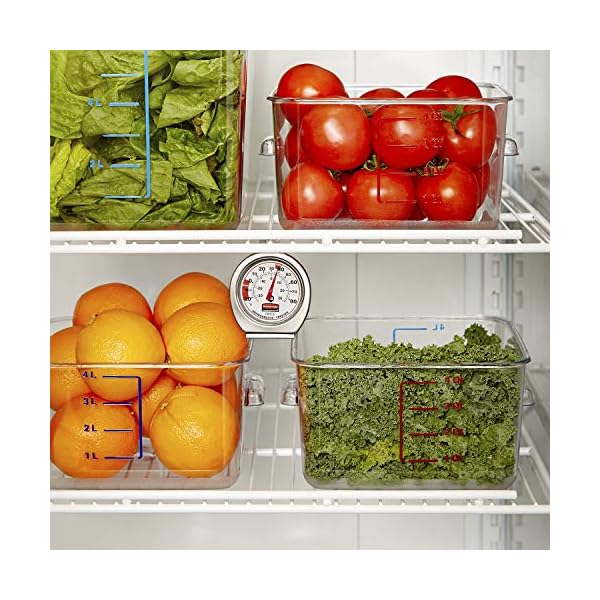 Rubbermaid Thermometer, Classic Large Mechanical Dial, Chrome, Extreme