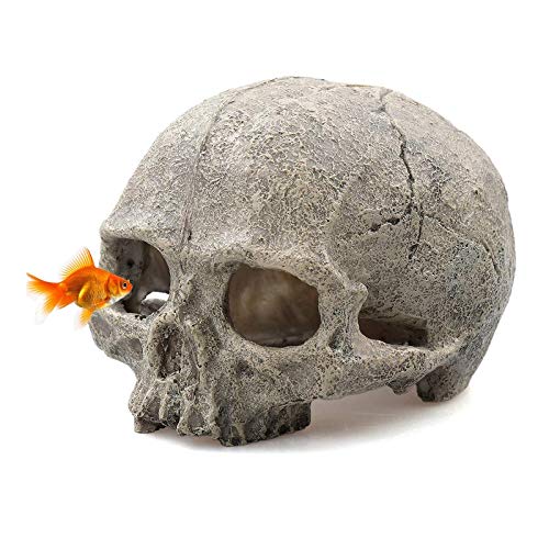 Tfwadmx Resin Skull Hideout