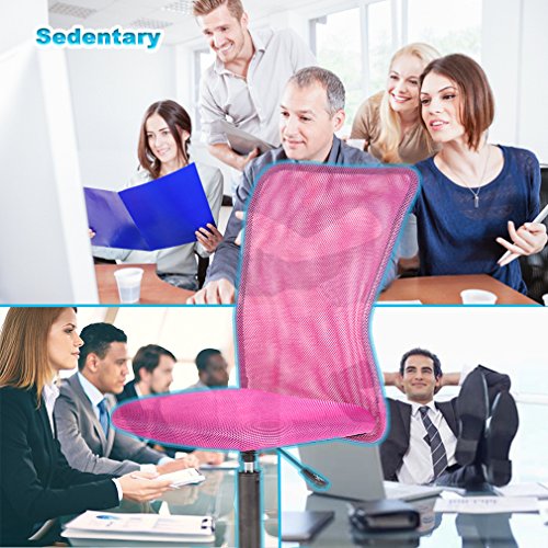 Mid Back Ergonomic Computer Office Chair Executive Desk Task Mesh Chair Rolling Swivel Chair With Lumbar Support For Back Pain(Pink) #TOP3