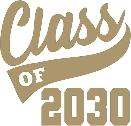 Graduation Iron On Transfer, Class of 2030 Shirt Decal, HTV Graduate Patch, Pick Size Color (Gold)