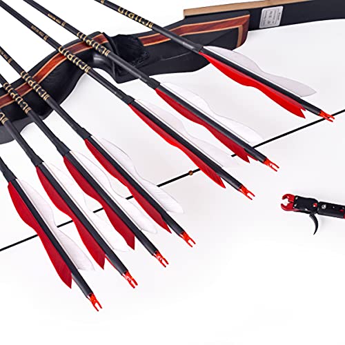 image for LWANO 30Inch Carbon Arrow Archery Hunting/Targeting Practice Arrows wi