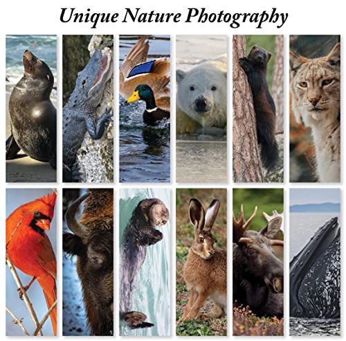 Jbh Creations Animals Of America Bookmarks - Pack Of 48 #TOP2