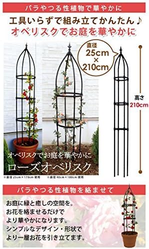 Rose Obelisk Black 25 X/210 cm