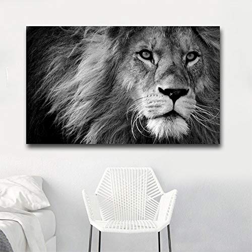 Impression sur toile lion noir et blanc haute définition au format 80x120