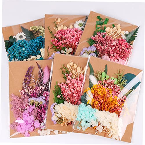 Kit de flores secas para manualidades miniatura 5