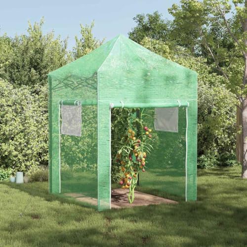 Lumanois Serre avec Cadre Pop-up avec Toit Vert 200 x 200 x 300 cm Fer Pelouses & Jardins Vert,42006641